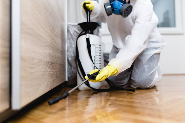 Best Pest Control Near Me in Idaho Springs, CO