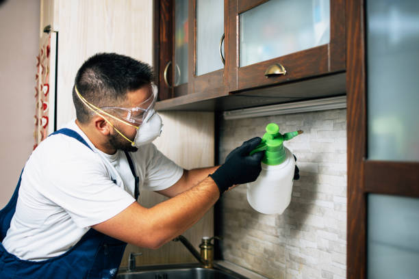Pest Prevention Services in Idaho Springs, CO