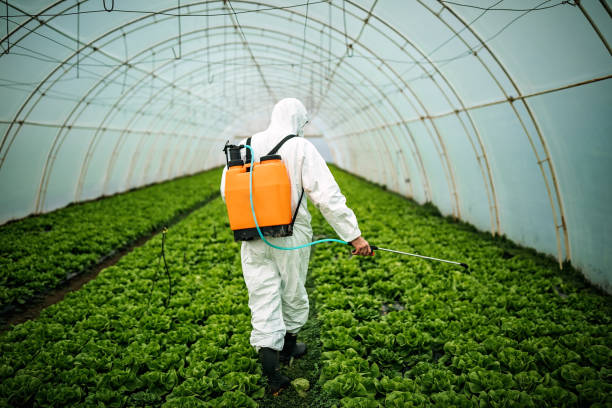 Best Best Pest Control Companies  in Idaho Springs, CO
