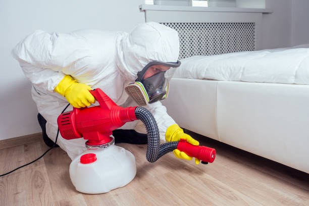 Best Local Pest Control Services  in Idaho Springs, CO