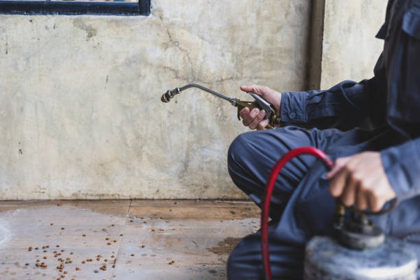Best Commercial Pest Control Services  in Idaho Springs, CO