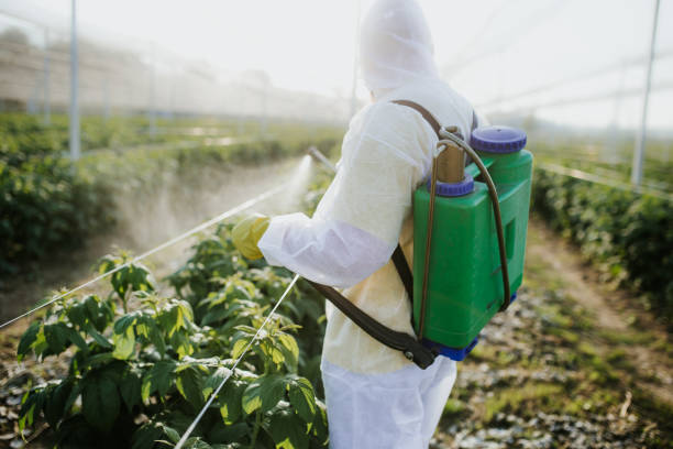 Best Pest Inspection Near Me  in Idaho Springs, CO